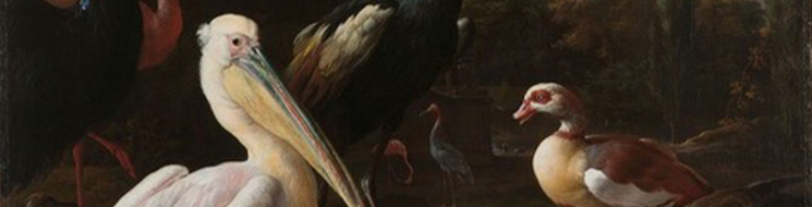 gouden eeuw rijksmuseum